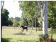 57 Fifth Avenue, Home Hill QLD 4806