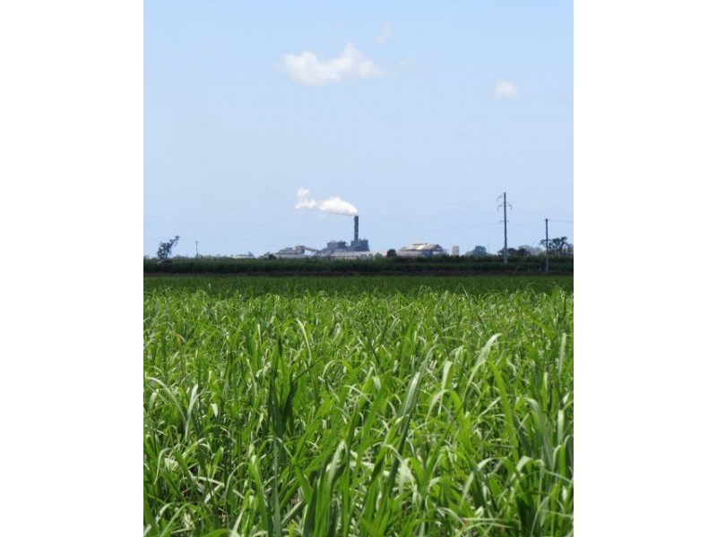 Lot 3 Rose Road, Ayr QLD 4807