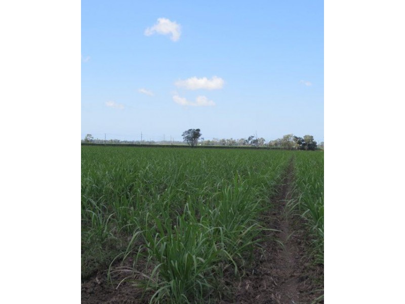 Lot 3 Rose Road, Ayr QLD 4807