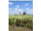 Lot 3 Rose Road, Ayr QLD 4807