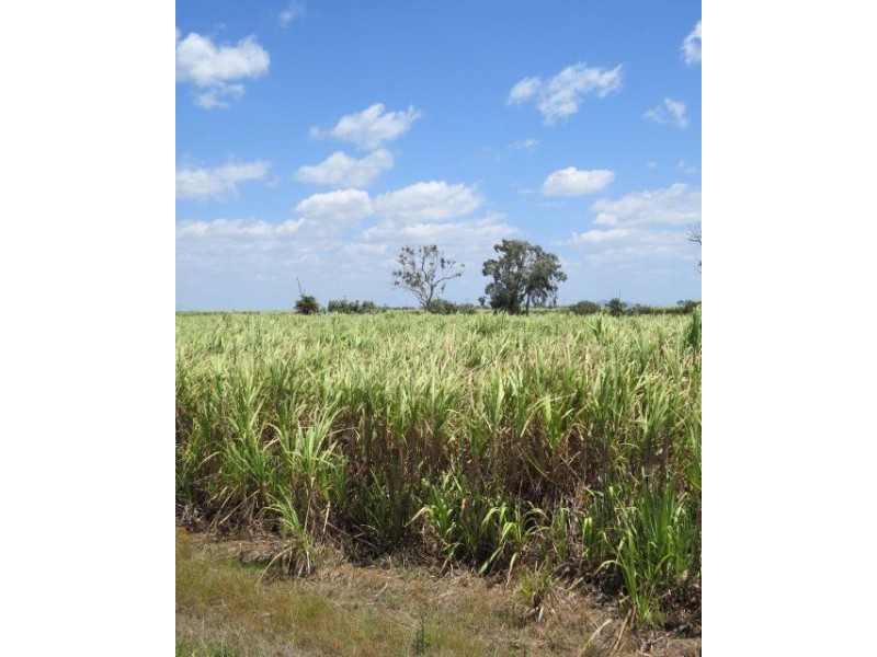 Lot 3 Rose Road, Ayr QLD 4807