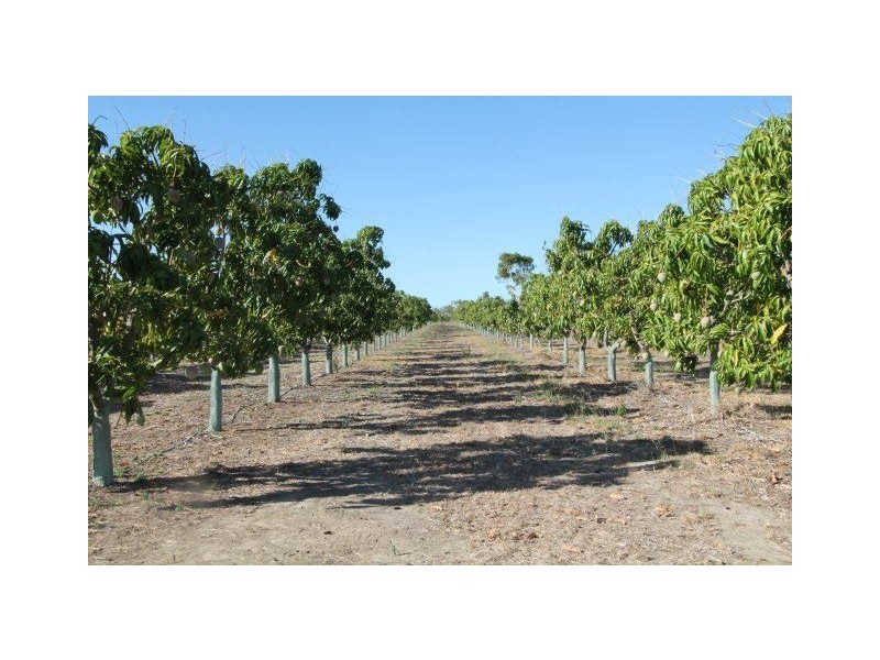 259 Murray Road, Woodstock QLD 4816
