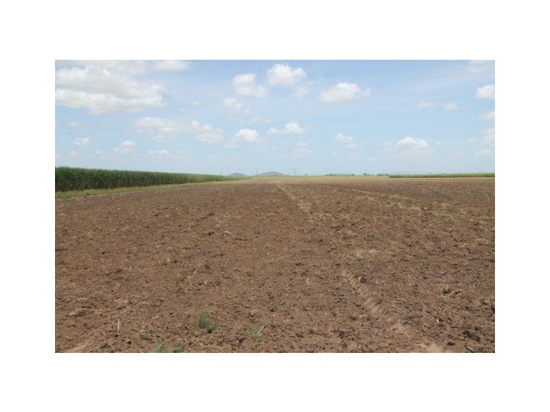 3198 Ayr-Dalbeg Road, Ayr QLD 4807