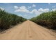 224 Cusson Road, Ayr QLD 4807