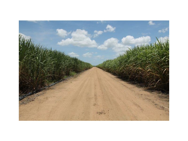 224 Cusson Road, Ayr QLD 4807