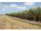 224 Cusson Road, Ayr QLD 4807