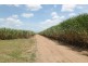 224 Cusson Road, Ayr QLD 4807