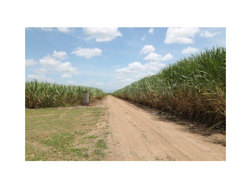 224 Cusson Road, Ayr QLD 4807