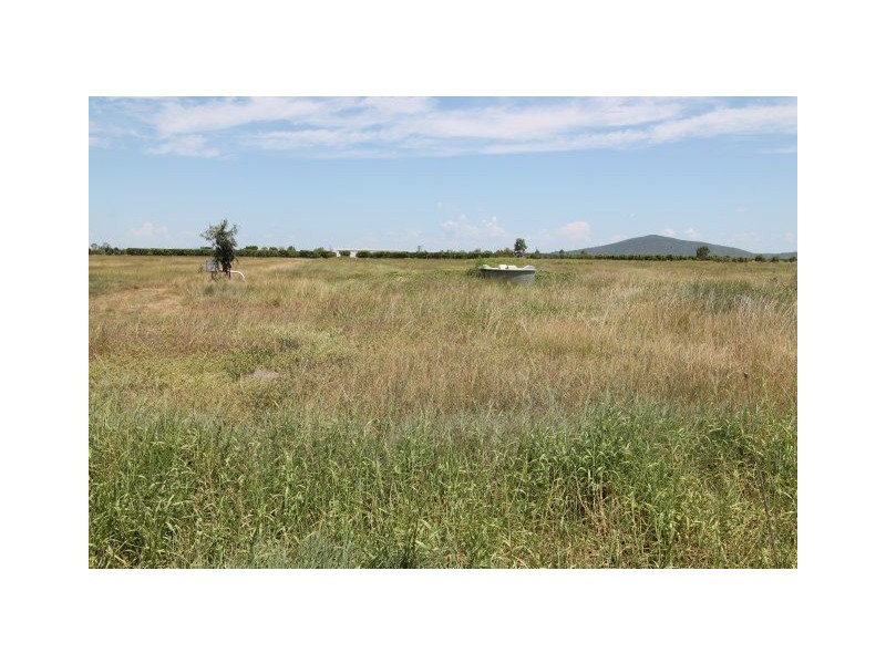 55 Plantation Avenue, Giru QLD 4809