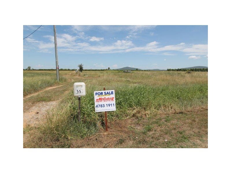 55 Plantation Avenue, Giru QLD 4809