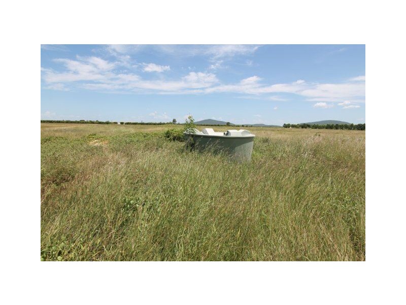 55 Plantation Avenue, Giru QLD 4809