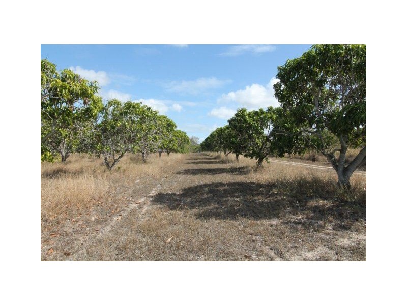 22 Etna Road, Mount Kelly QLD 4807