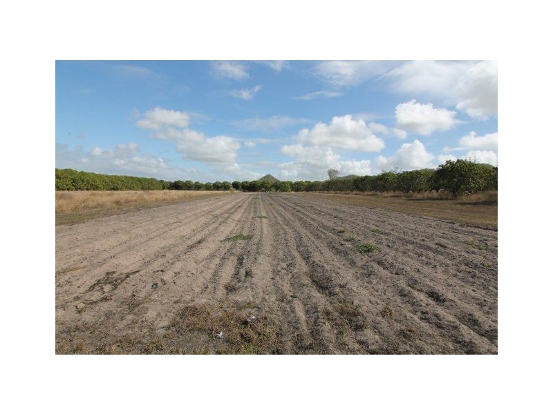 22 Etna Road, Mount Kelly QLD 4807