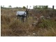 Lot 3 Lena Road, Mount Kelly QLD 4807