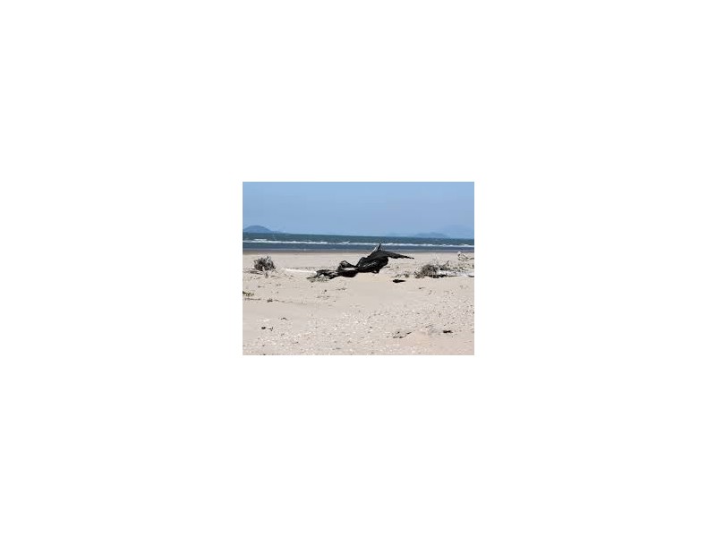 27 Aivu Avenue, Wunjunga QLD 4806