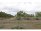 128 Bartlett Road, Horseshoe Lagoon QLD 4809