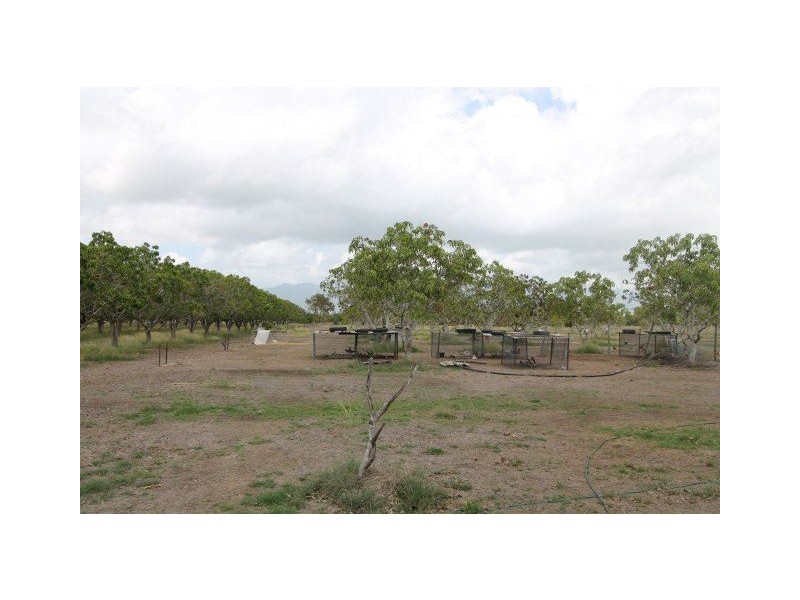 128 Bartlett Road, Horseshoe Lagoon QLD 4809