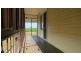 7 Palm Avenue, Brandon QLD 4808