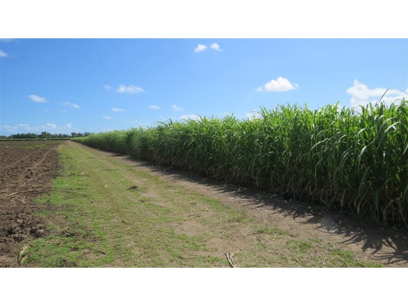 121-165 Moody Road, Jarvisfield QLD 4807