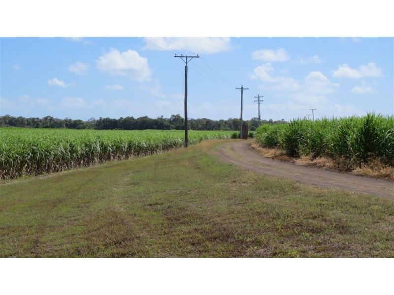 121-165 Moody Road, Jarvisfield QLD 4807