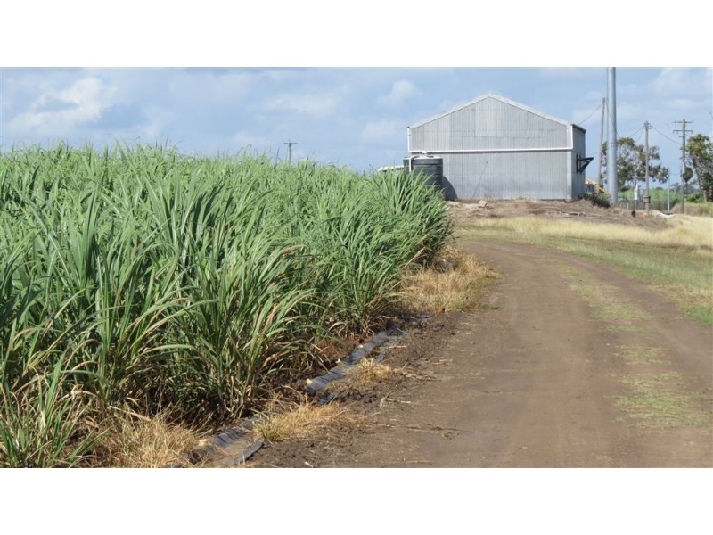 121-165 Moody Road, Jarvisfield QLD 4807