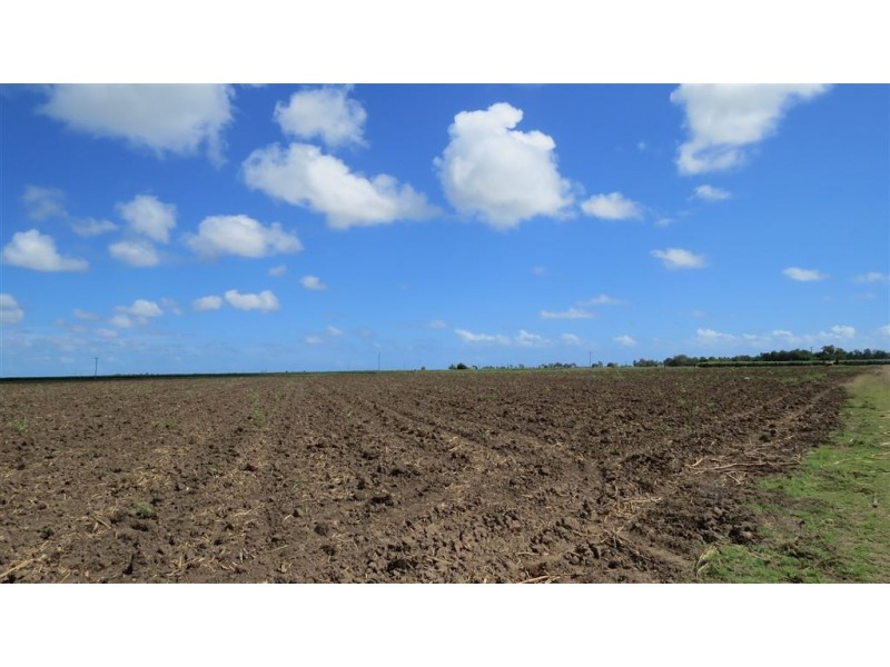 121-165 Moody Road, Jarvisfield QLD 4807