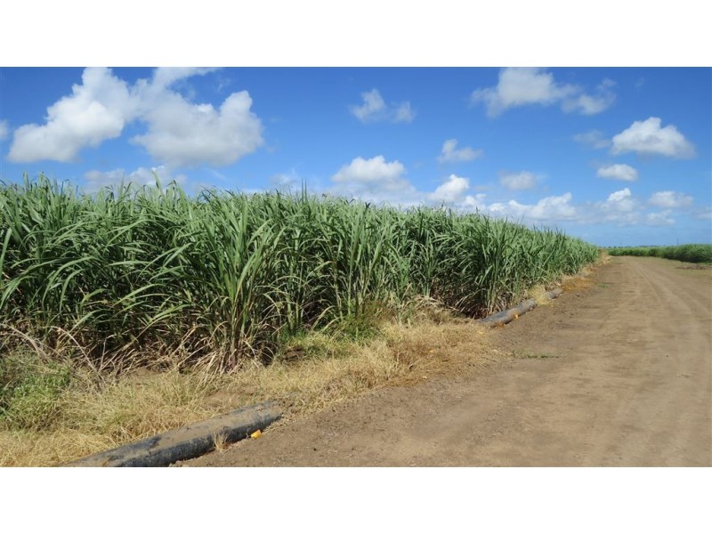 121-165 Moody Road, Jarvisfield QLD 4807