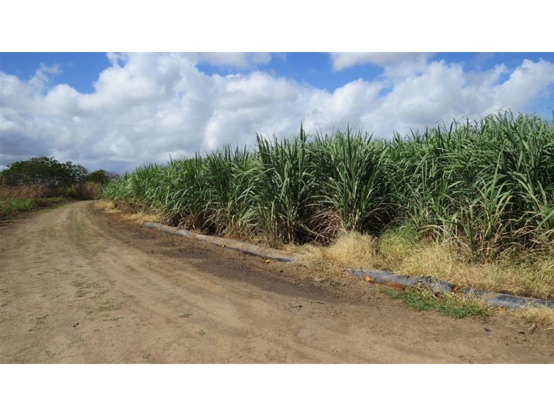 121-165 Moody Road, Jarvisfield QLD 4807