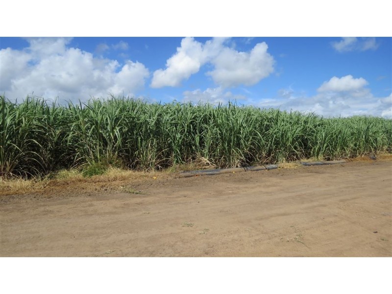 121-165 Moody Road, Jarvisfield QLD 4807