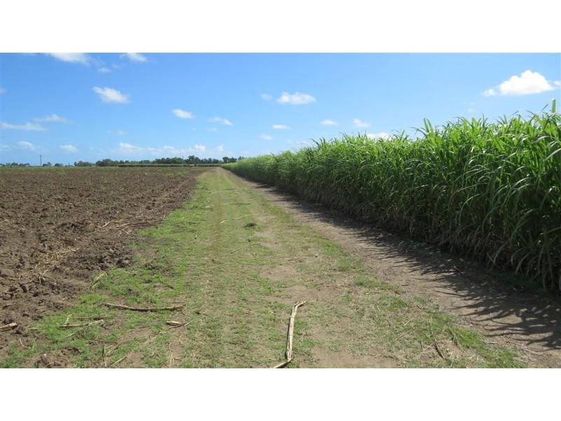 121-165 Moody Road, Jarvisfield QLD 4807