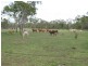 Lot 25 Desalis Street, Gumlu QLD 4805