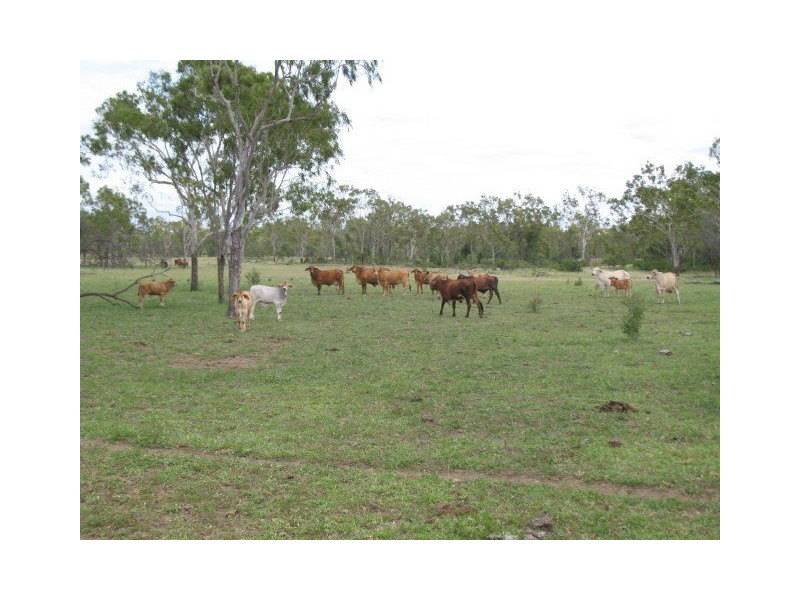 Lot 25 Desalis Street, Gumlu QLD 4805