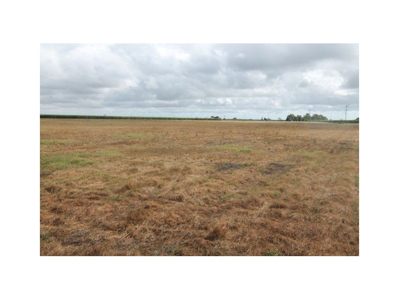 16 Ayr-Dalbeg Road, Mcdesme QLD 4807