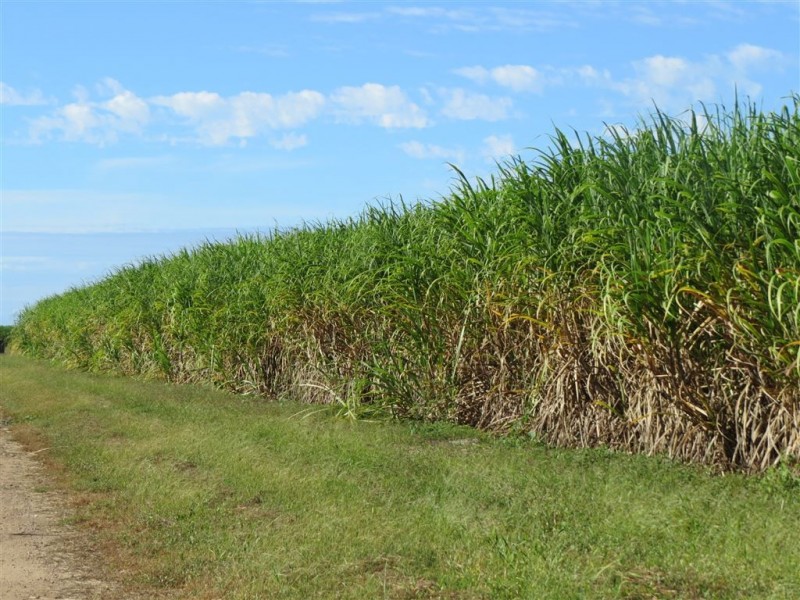 104 Burstall Road, Ayr QLD 4807