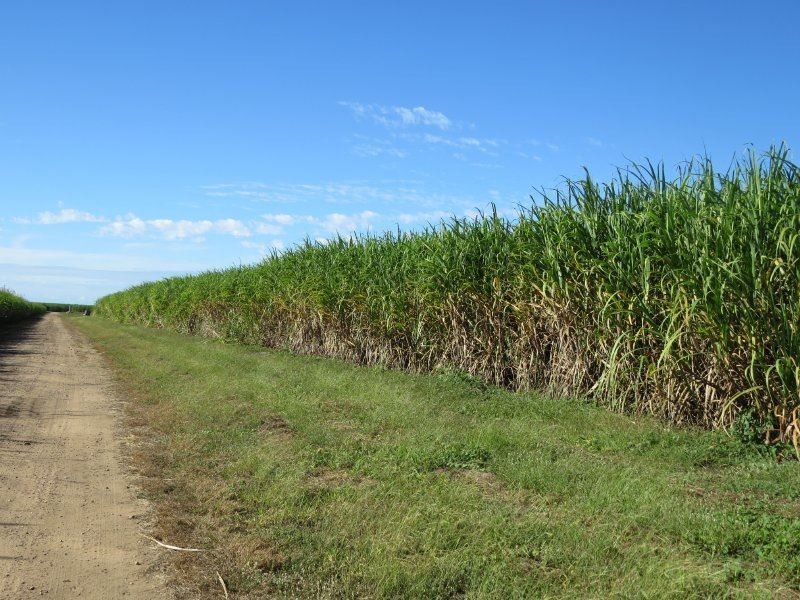 104 Burstall Road, Ayr QLD 4807