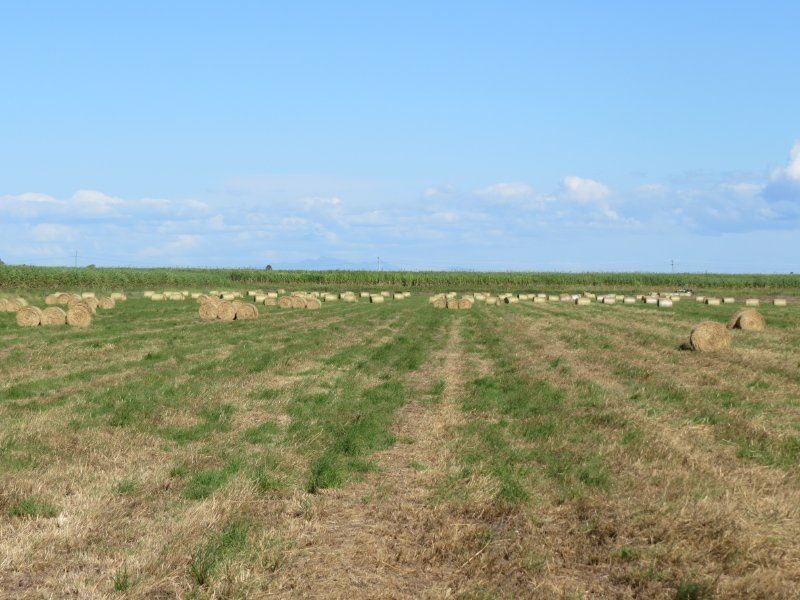 104 Burstall Road, Ayr QLD 4807