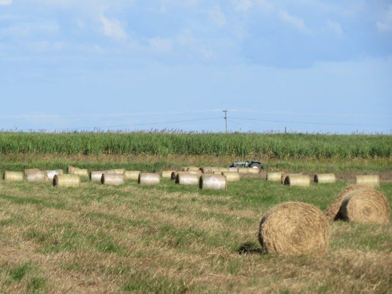 104 Burstall Road, Ayr QLD 4807