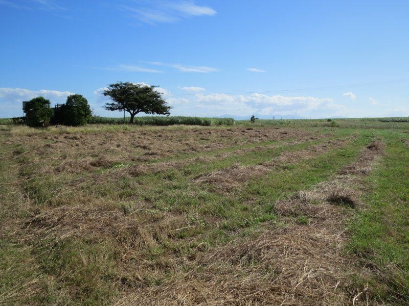 104 Burstall Road, Ayr QLD 4807