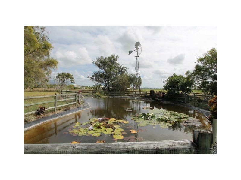 39 Plantation Avenue, Horseshoe Lagoon QLD 4809