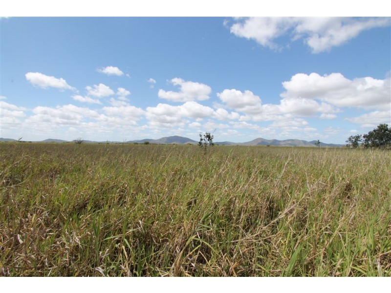 0 Ted Walsh Road, Home Hill QLD 4806