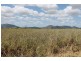0 Ted Walsh Road, Home Hill QLD 4806