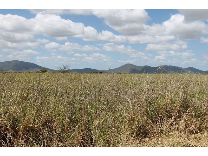 0 Ted Walsh Road, Home Hill QLD 4806