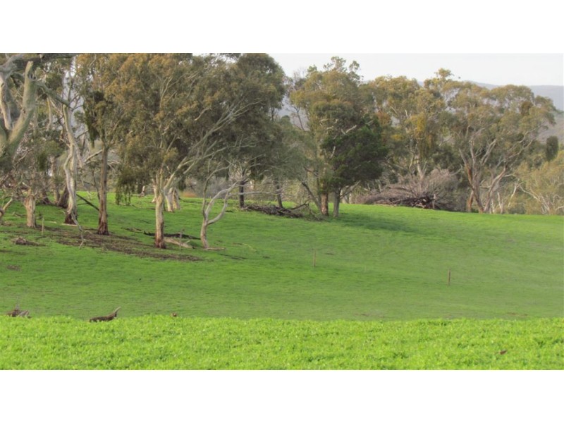 Lot 12 Harvey’s Quarry Road, Williamstown SA 5351