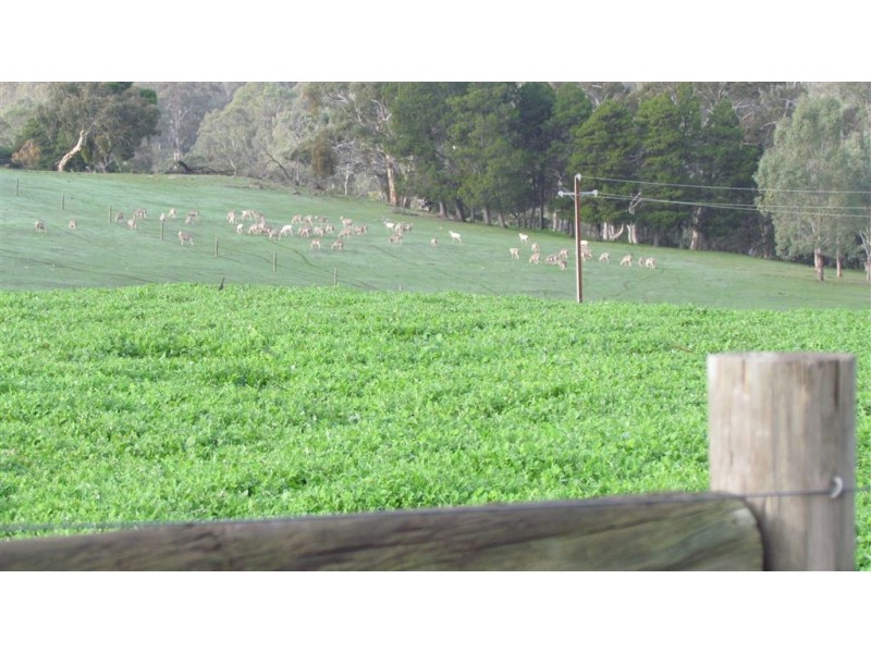 Lot 12 Harvey’s Quarry Road, Williamstown SA 5351