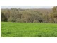 Lot 12 Harvey’s Quarry Road, Williamstown SA 5351