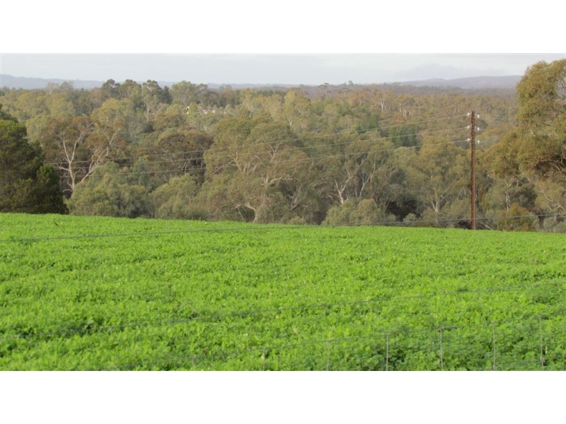 Lot 11 Harvey’s Quarry Road, Williamstown SA 5351