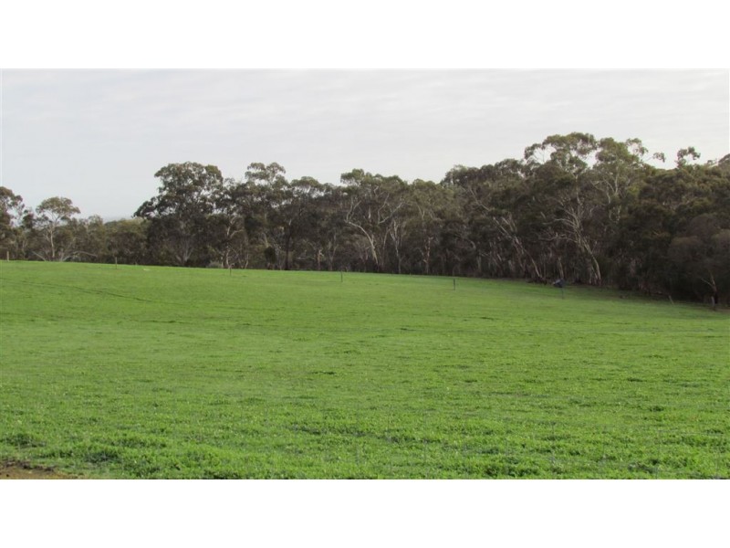 Lot 11 Harvey’s Quarry Road, Williamstown SA 5351