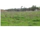Lot 742 Valley Road, Angaston SA 5353