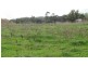 Lot 742 Valley Road, Angaston SA 5353