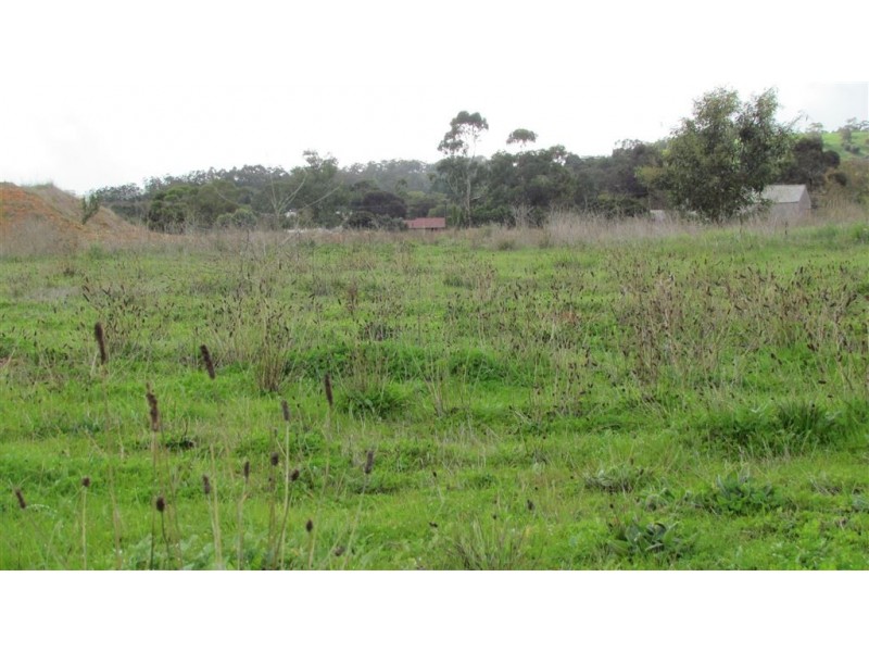 Lot 742 Valley Road, Angaston SA 5353